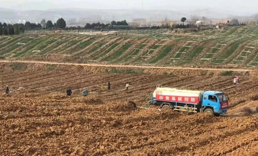 181582004564243523.jpeg 640.webp.jpg