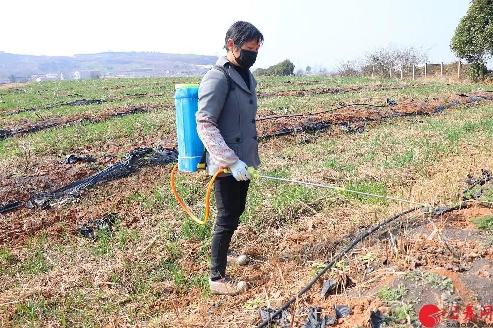 181582004619511905.jpeg 640.webp (3).jpg