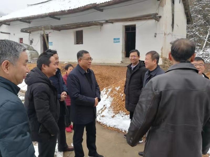 191582098407691485.jpeg 640.jpg