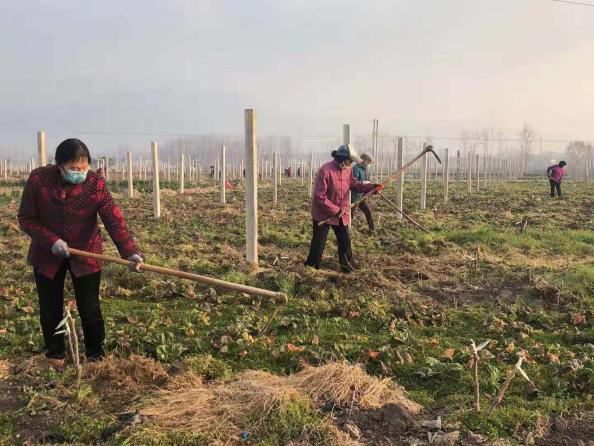 191582112919892054.png 勉縣2.png