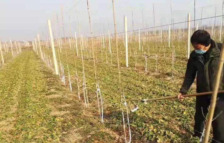 201582196564804881.png 微信截圖_20200220190225.png