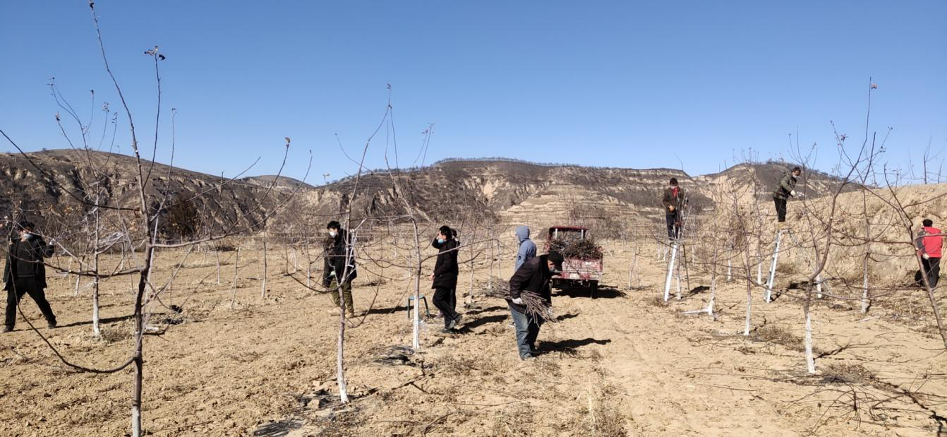 201582198203924696.png 圖片4.png