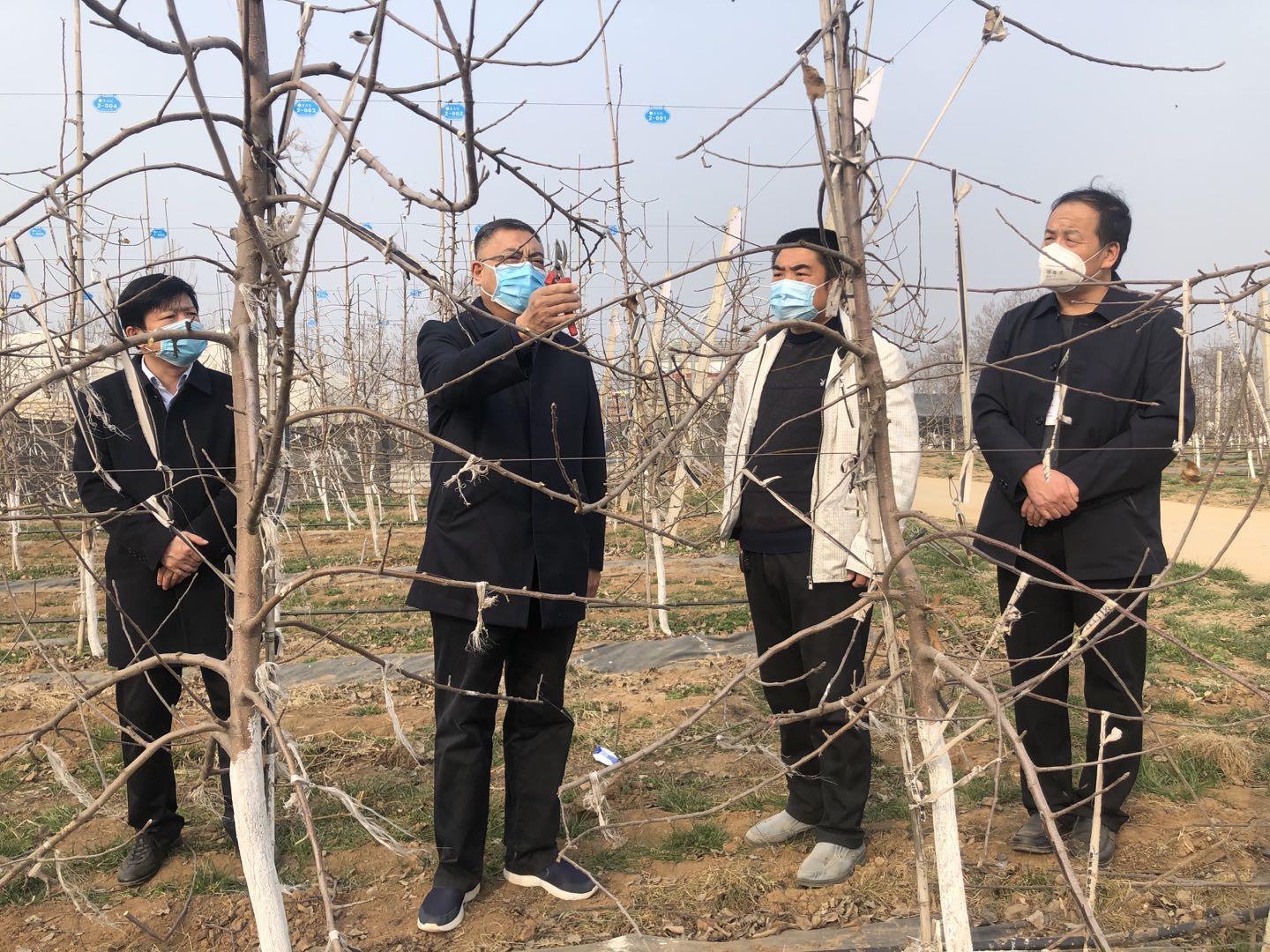 271582791327476177.jpeg 微信圖片_20200226191609.jpg