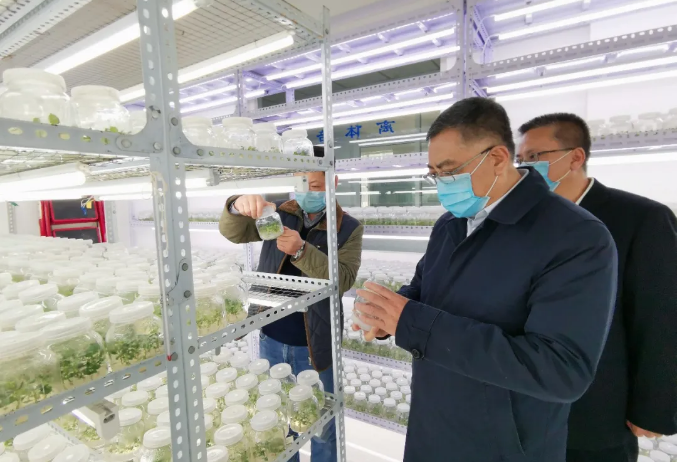 111583913300717678.png 2.png