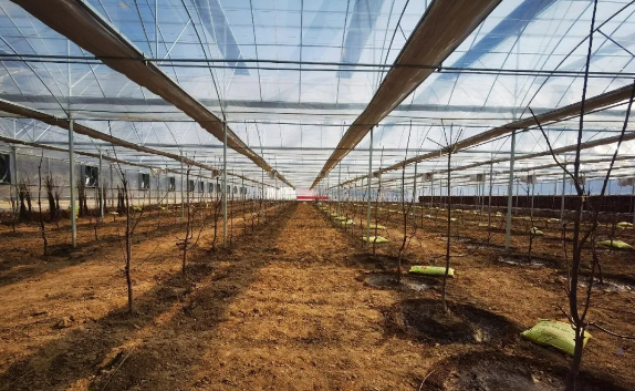 161584339863979255.png 安塞.png