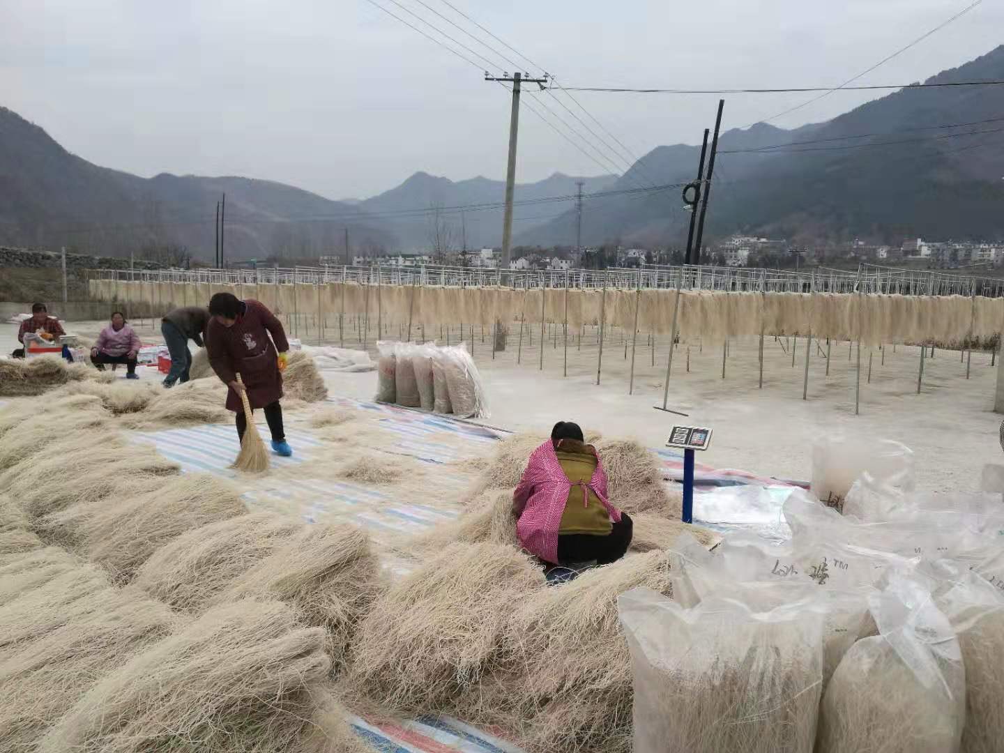 311585650488157565.jpeg 商南4.jpg