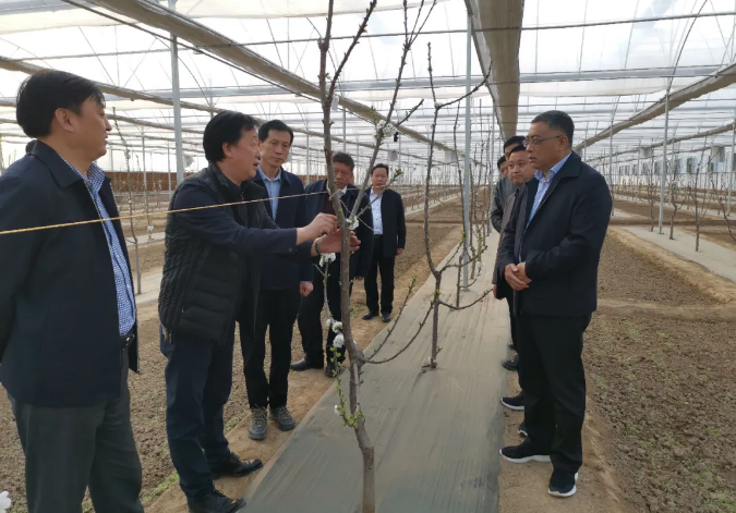 051586096202527289.png 微信截圖_20200405221544.png