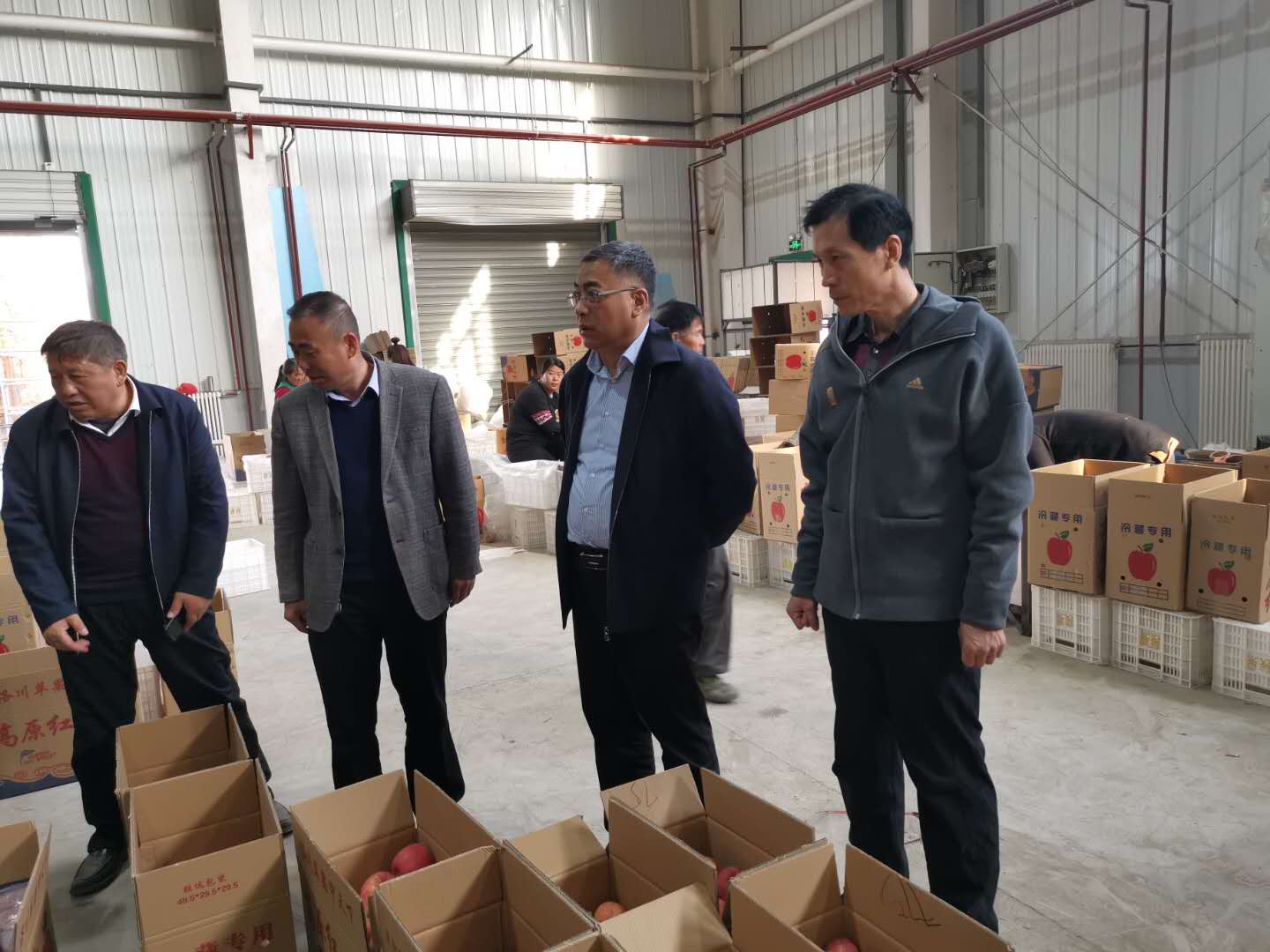 051586096751234424.jpeg 蘋果.jpg