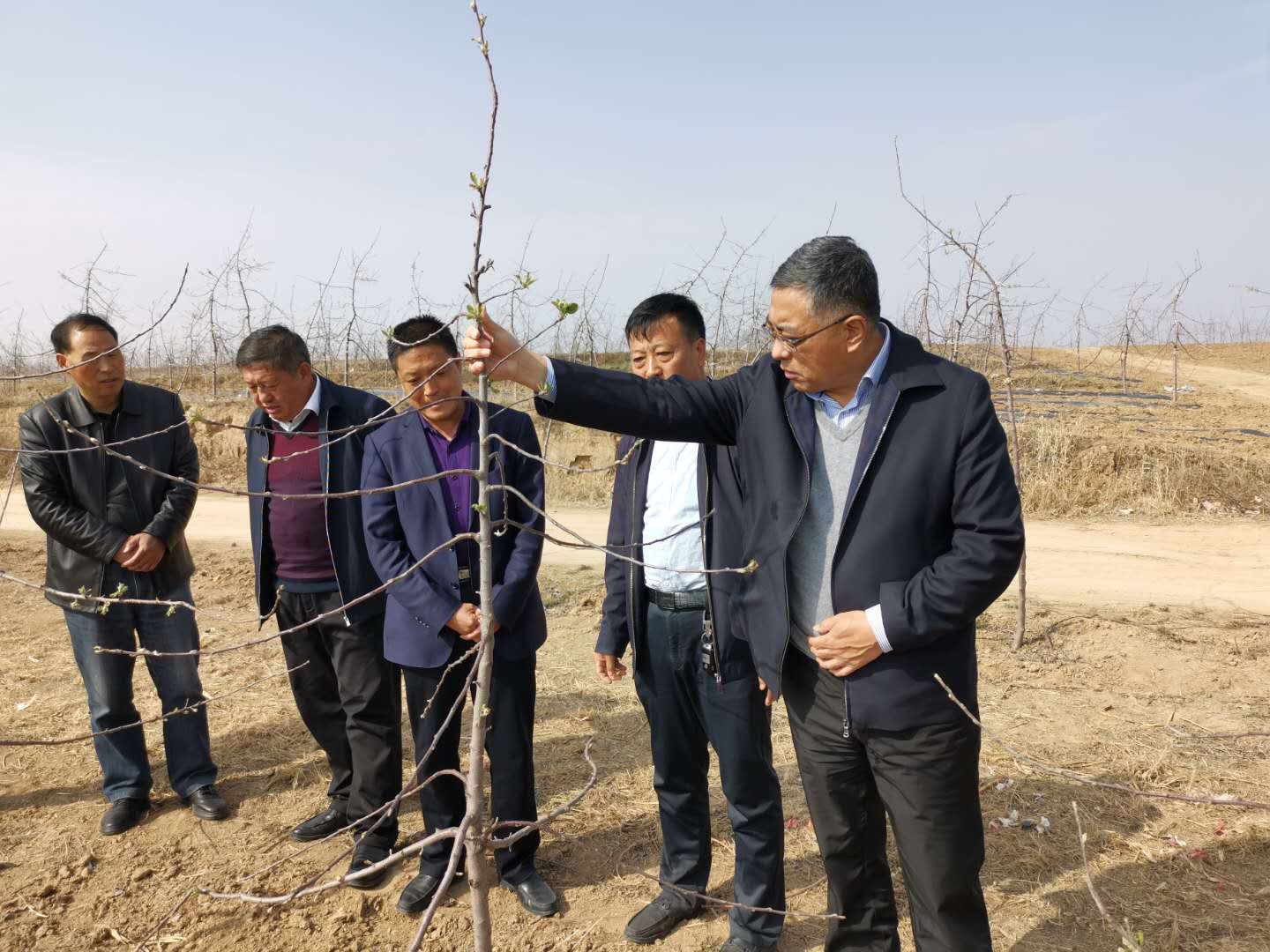 051586096843923458.jpeg 910黃.jpg