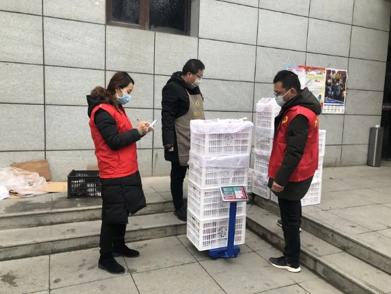 071586246812402282.jpeg hmj.jpg