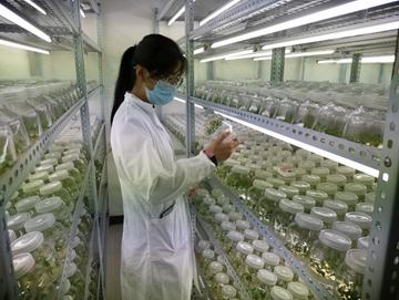 071586247089301835.png image.png