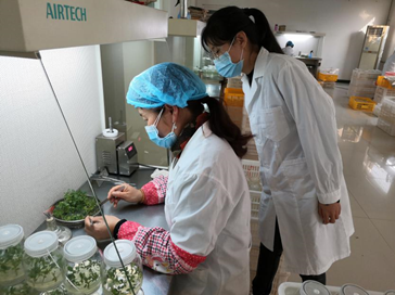 071586247126440661.png image.png