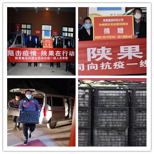 081586347050791509.jpeg ee.jpg