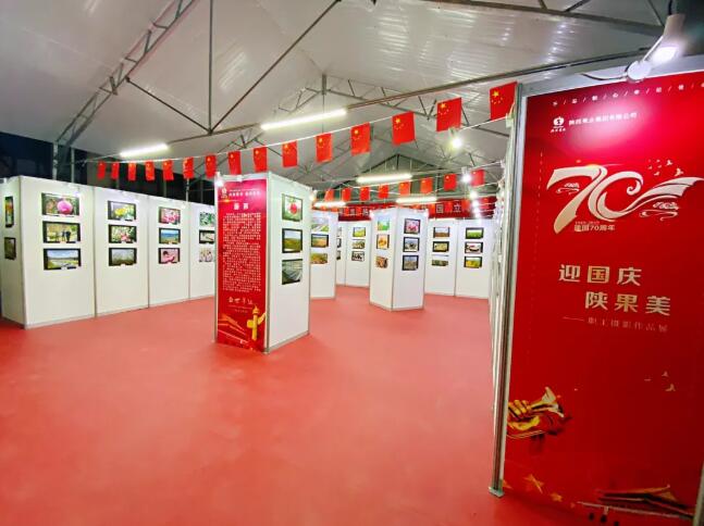 161587000051901828.jpeg 12.jpg