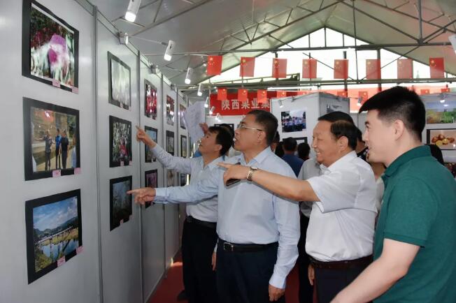 161587000073936117.jpeg 14.jpg