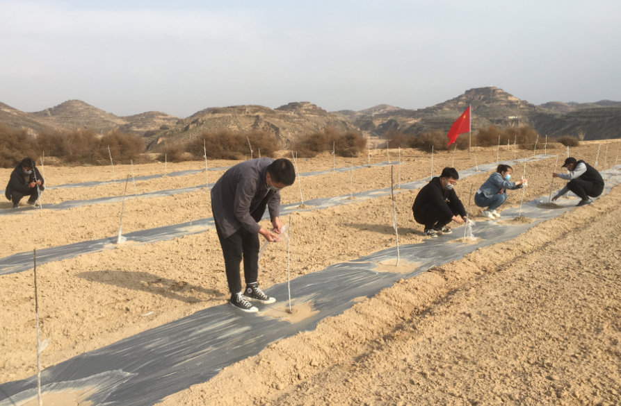 171587090476773564.png 2.png