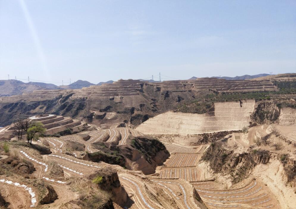 211587433081847658.jpeg QQ截圖20200421093522.jpg