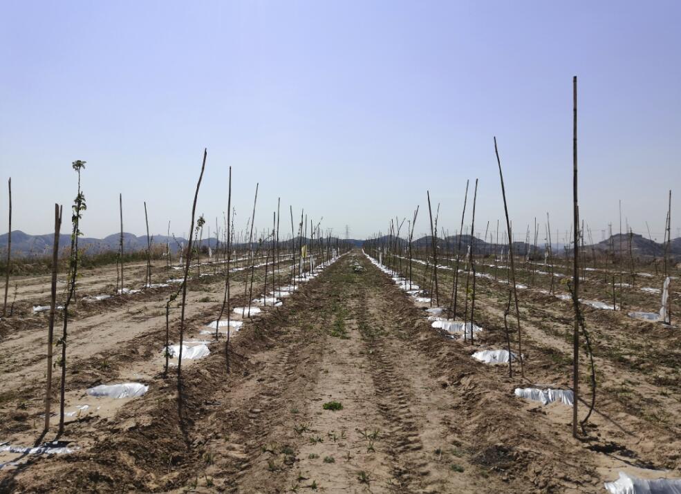 211587433108846859.jpeg QQ截圖20200421093502.jpg