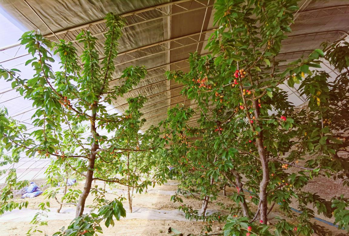 261587892162280407.png 圖片2.png