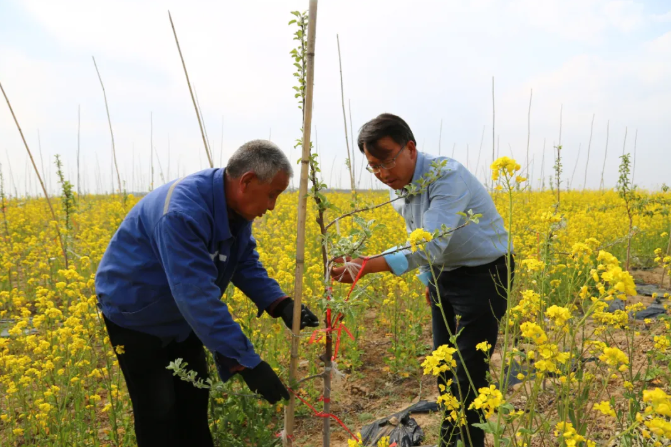 111589189639789219.png 微信截圖_20200511173331.png