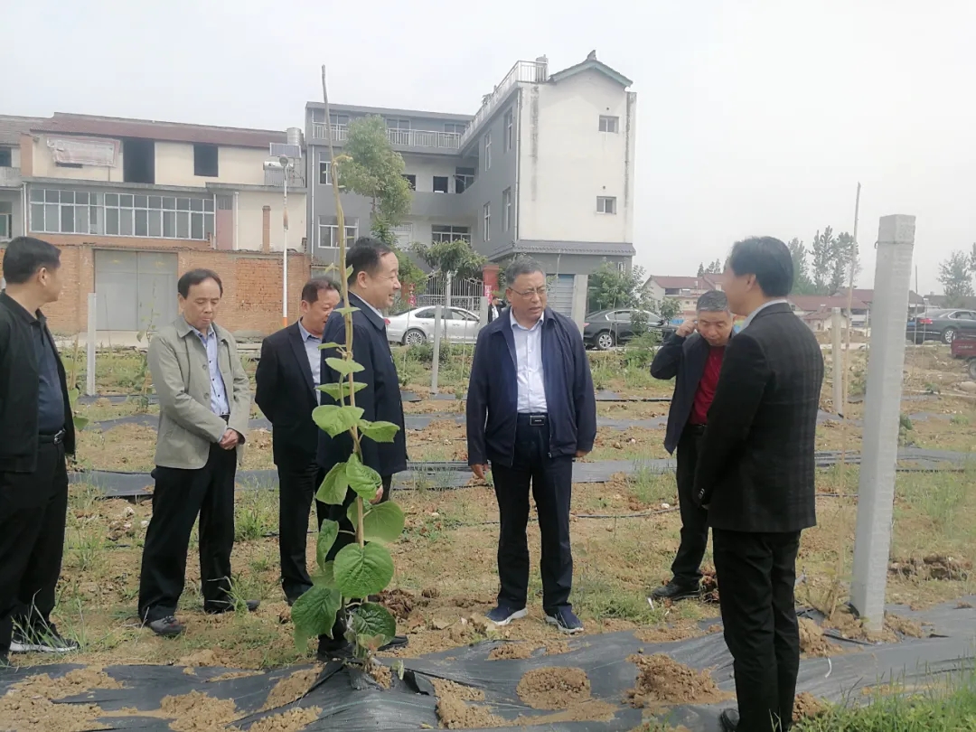 181589764461910980.jpeg 181589764461910980.jpeg