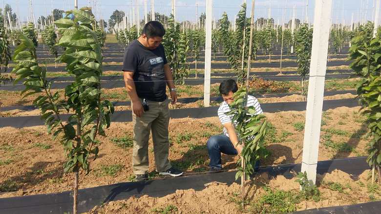 031591167451606216.png 1505729254376517.png