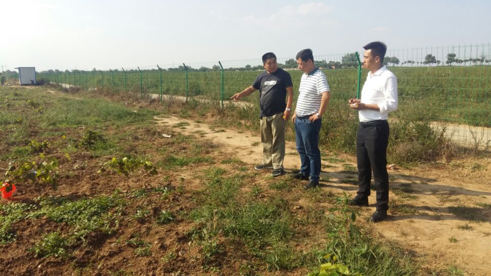 031591167462289511.jpeg 1505729369730618.jpg