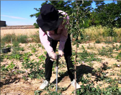 031591173626841789.png 640_wx_fmt=png&tp=webp&wxfrom=5&wx_lazy=1&wx_co=1 (5).png