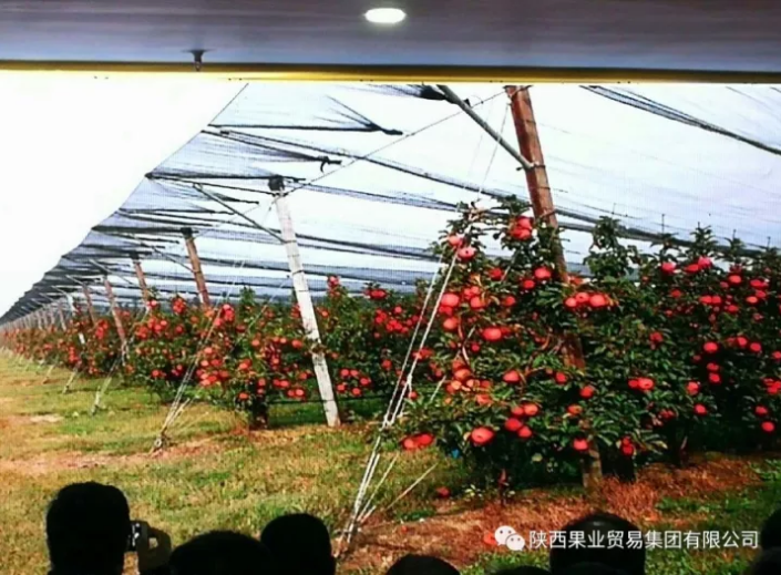 041591235081708613.png QQ瀏覽器截圖20200604094137.png