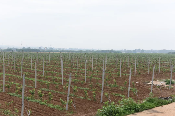 041591236719205903.png QQ瀏覽器截圖20200604100849.png