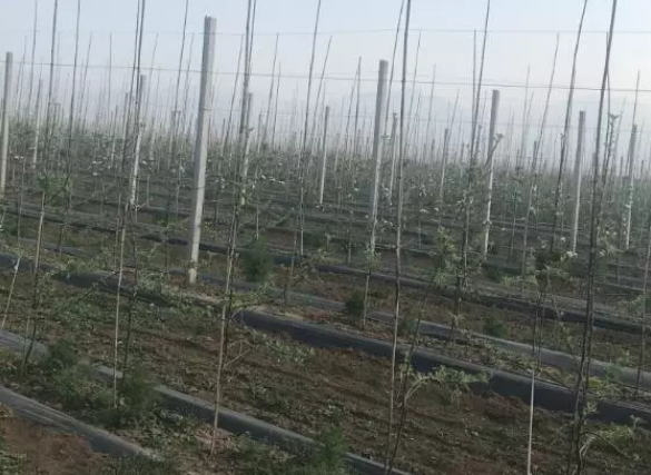 041591236732938916.png QQ瀏覽器截圖20200604100858.png