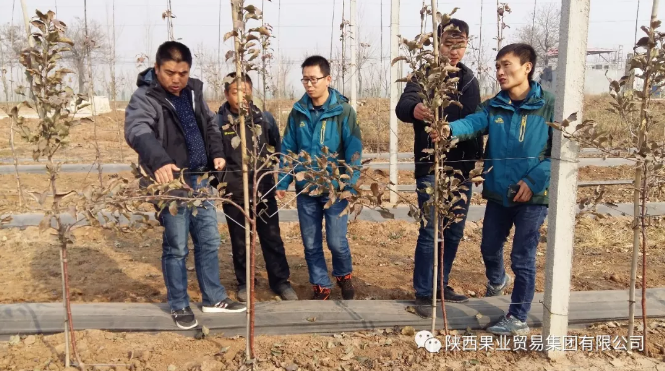 041591254597941065.png QQ瀏覽器截圖20200604150547.png