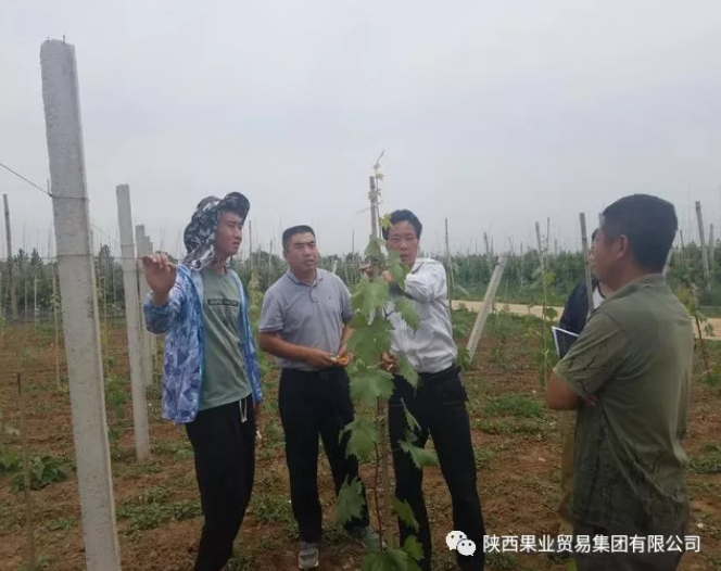 041591256512324341.png QQ瀏覽器截圖20200604153827.png