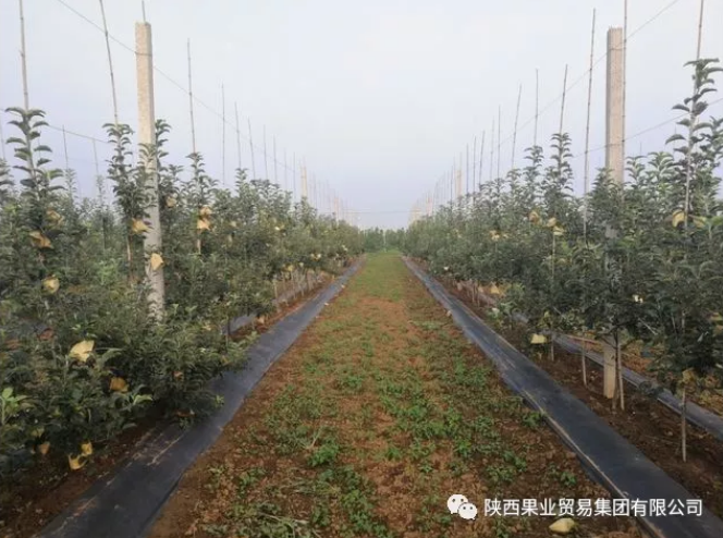 041591256532590087.png QQ瀏覽器截圖20200604153844.png