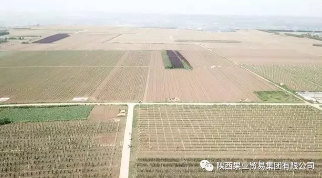 041591256547764567.png QQ瀏覽器截圖20200604153836.png