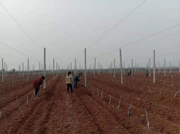 111591856781832698.png QQ瀏覽器截圖20200611142034.png