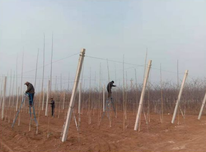 111591856788654118.png QQ瀏覽器截圖20200611142044.png