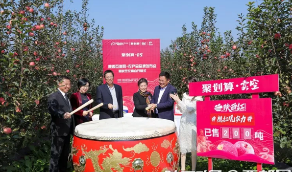 111591860843108471.png QQ瀏覽器截圖20200611152948.png