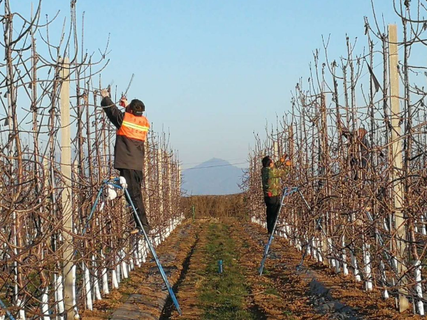 151592206641811462.png QQ瀏覽器截圖20200615153359.png