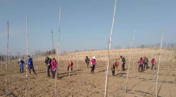 151592206652752704.png QQ瀏覽器截圖20200615153411.png