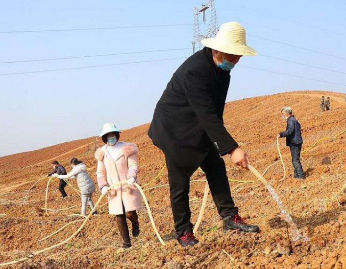 151592209151628028.png QQ瀏覽器截圖20200615161343.png