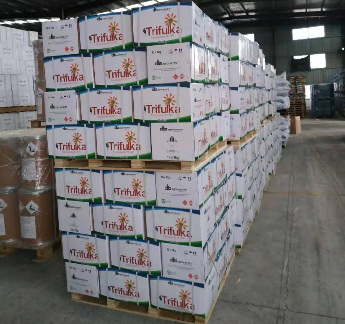 151592209171733363.png QQ瀏覽器截圖20200615161401.png