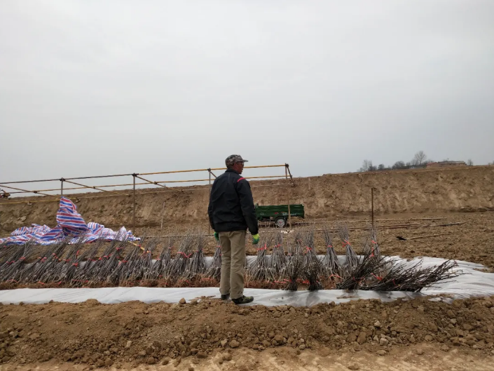 151592209748841816.png QQ瀏覽器截圖20200615162503.png