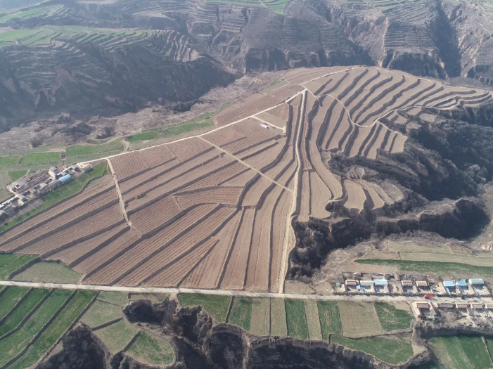 151592209779926757.png QQ瀏覽器截圖20200615162513.png