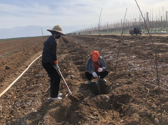 151592210422880578.png QQ瀏覽器截圖20200615163646.png