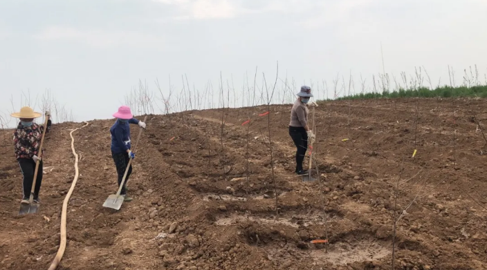 151592210434347632.png QQ瀏覽器截圖20200615163655.png