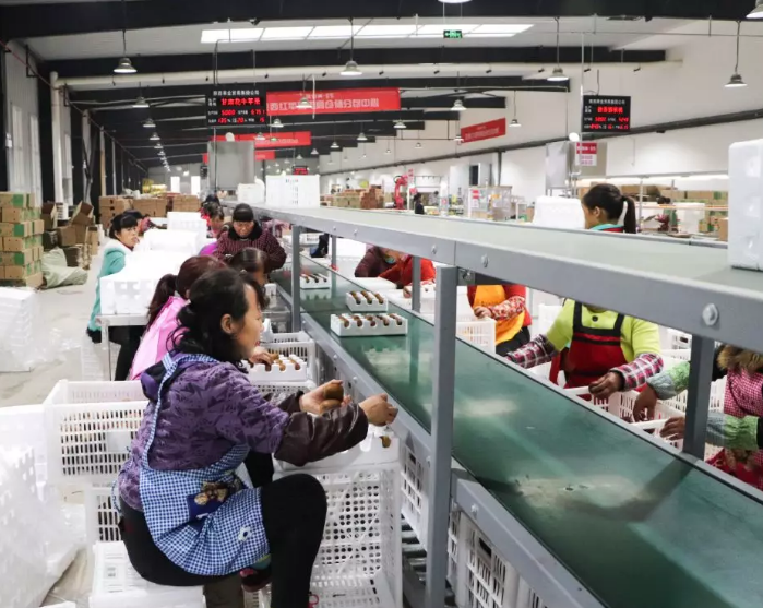 151592211136540236.png QQ瀏覽器截圖20200615164838.png