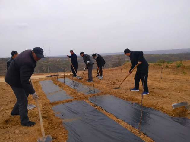 151592211281457126.png QQ瀏覽器截圖20200615165053.png