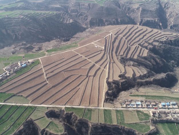 151592211295354305.png QQ瀏覽器截圖20200615165102.png