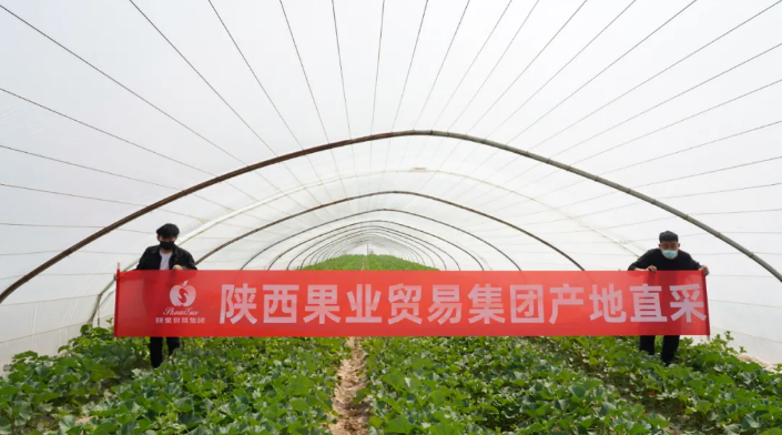 151592211536777805.png QQ瀏覽器截圖20200615165524.png